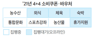 소비쿠폰 바우처 8가지 분야 설명