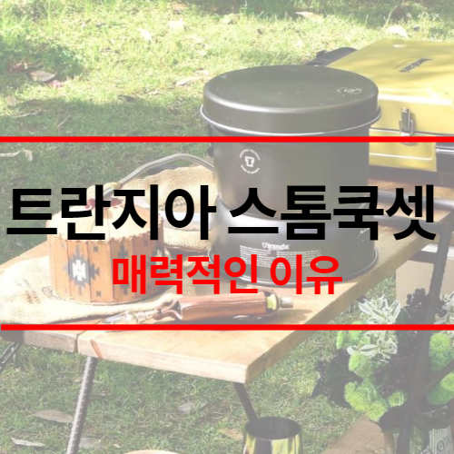 트란지아 스톰쿡셋