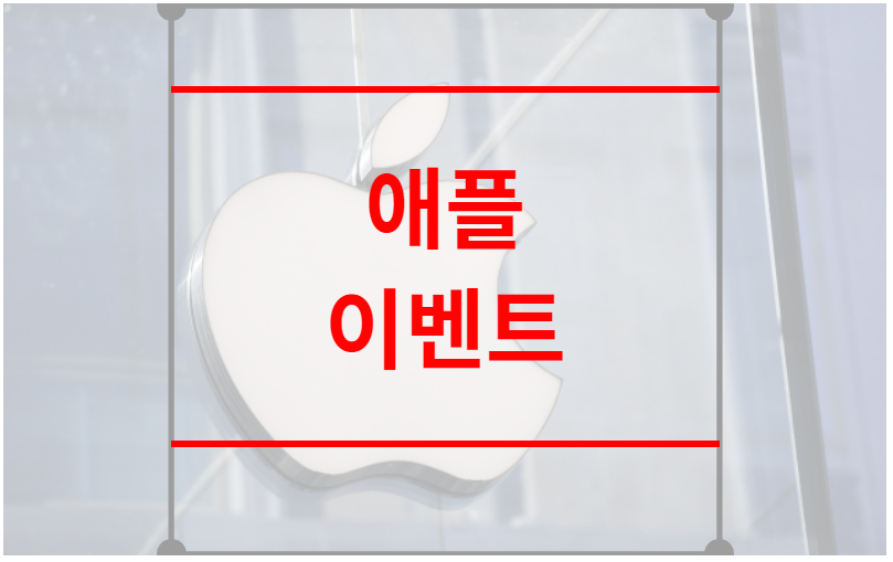 애플 이벤트