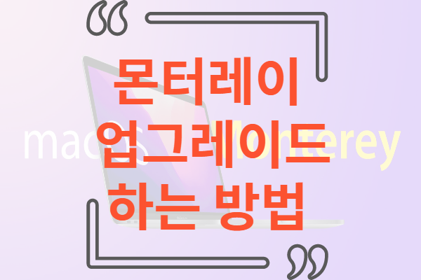 몬터레이 업그레이드