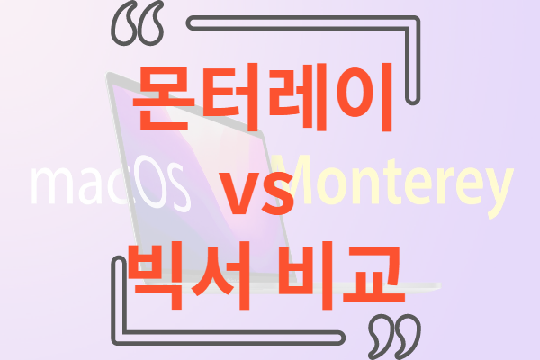 몬터레이 빅서 비교