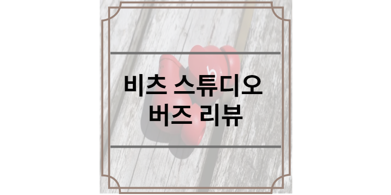 비츠 스튜디오 버즈 리뷰
