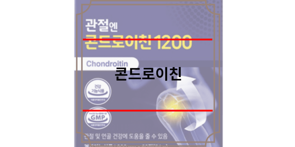 콘드로이친