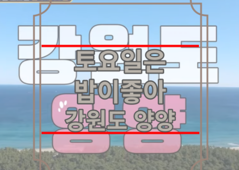 토요일은밥이좋아 양양