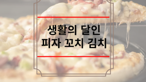 생활의 달인 피자