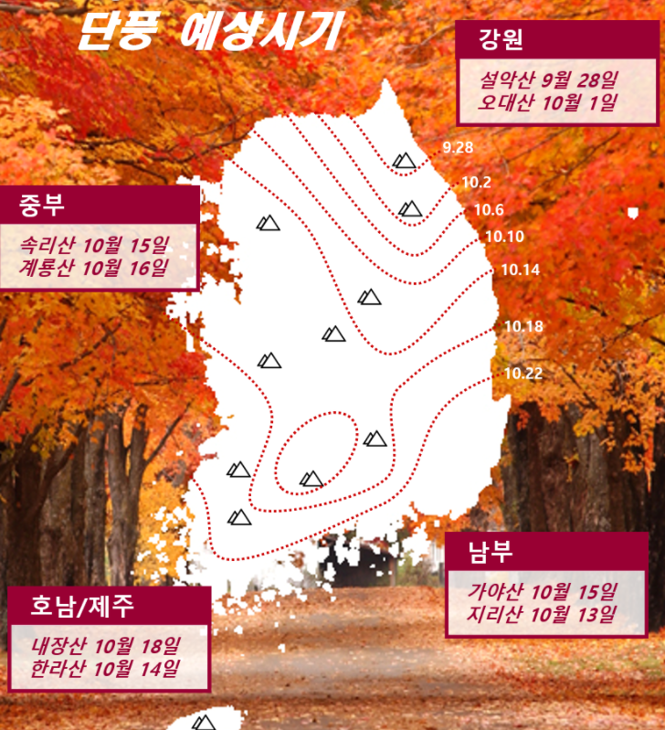 단풍 명소 추천