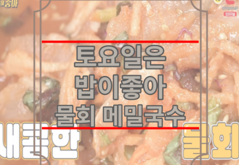 토요일은밥이좋아 물회