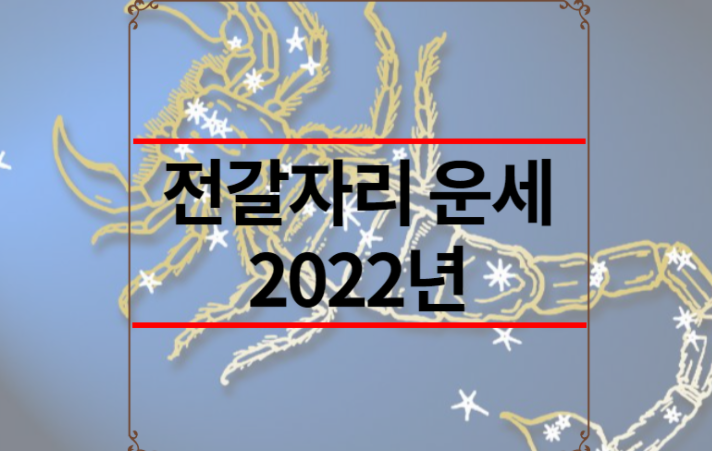 전갈자리 운세 2022년
