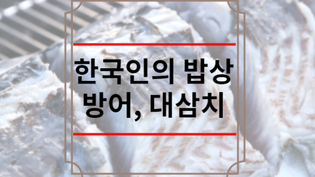 한국인의 밥상 방어