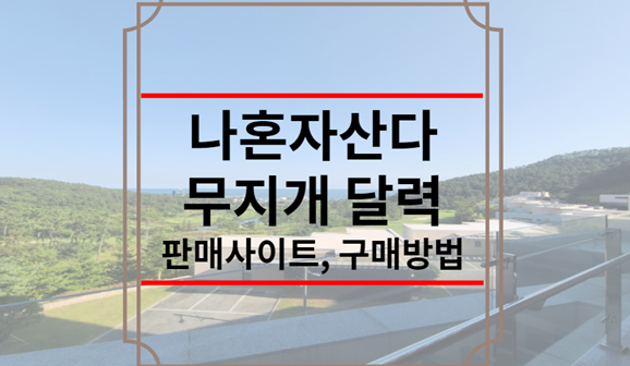 나혼자산다 무지개 달력