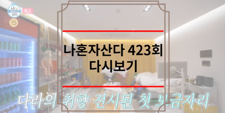 나혼자산다 423회 다시보기