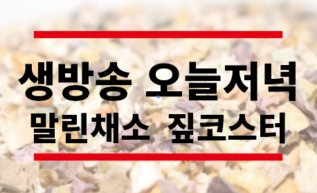 생방송 오늘저녁 말린채소