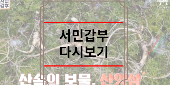 서민갑부 다시보기 360회