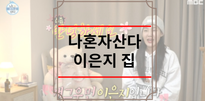나혼자산다 이은지