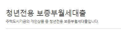 청년 맞춤형 전세대출