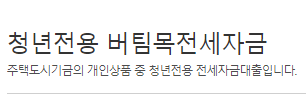 청년 맞춤형 전세대출