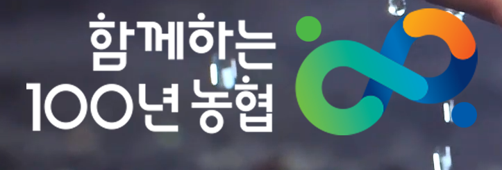 청년 맞춤형 전세대출