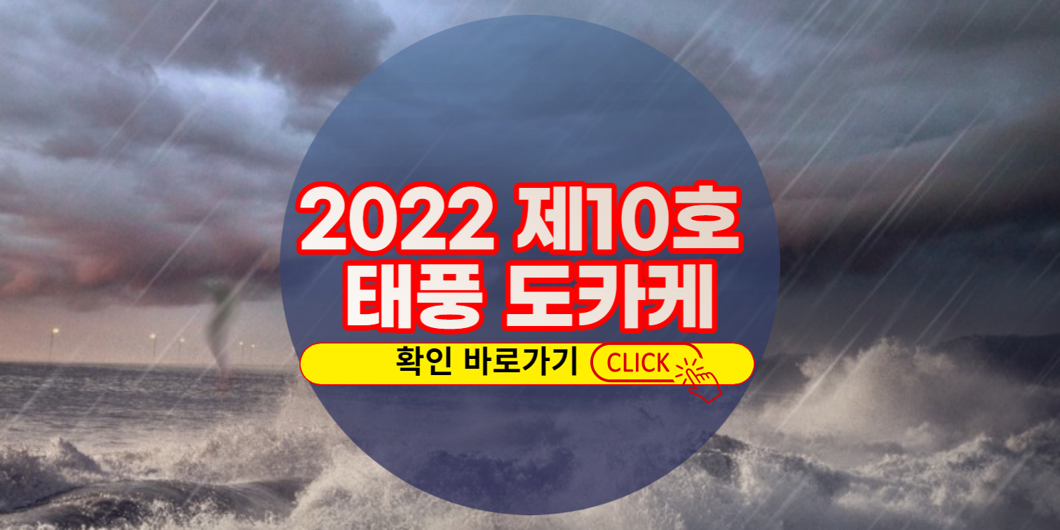 2022년 제10호 태풍 도카게