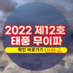 2022년 제12호 태풍 무이파