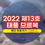 2022년 제13호 태풍 므르복