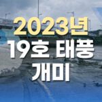 2023년 19호 태풍 개미