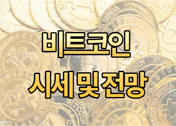 비트코인 전망