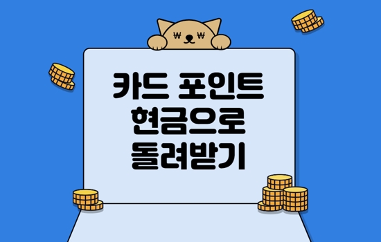 카드 포인트 통합 조회