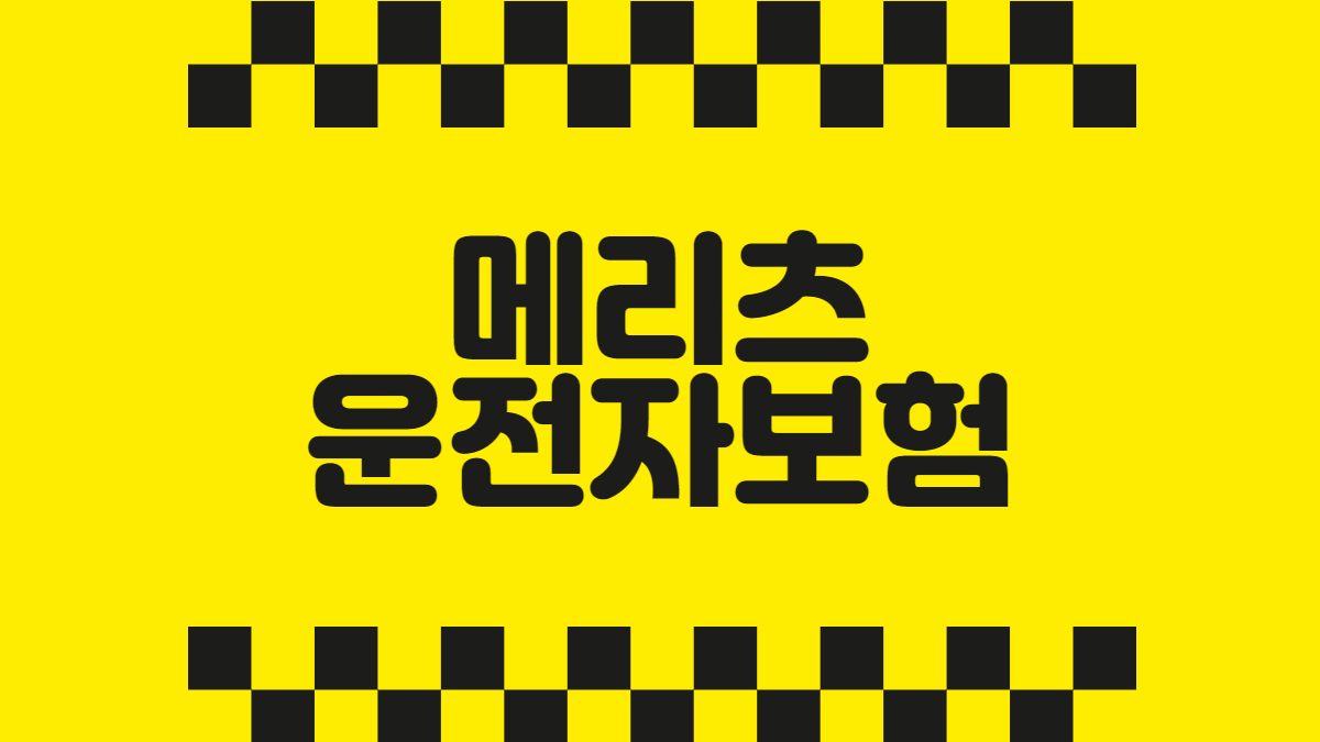 메리츠 운전자보험