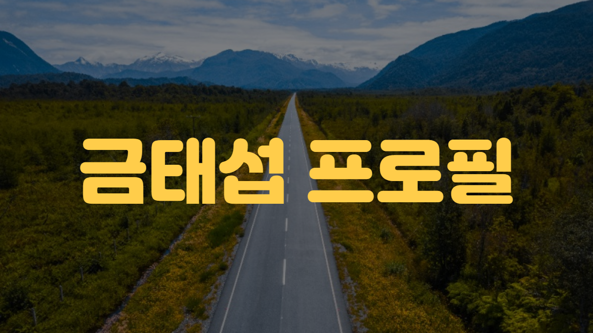 금태섭 프로필
