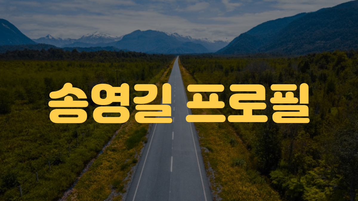 송영길 프로필