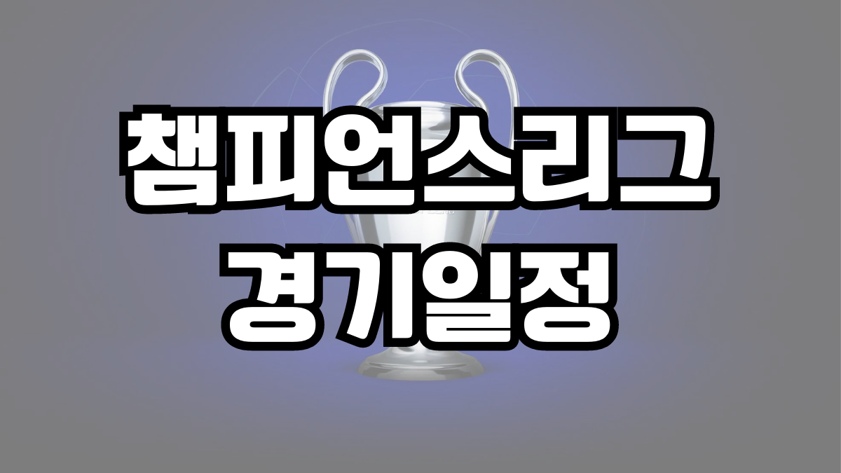 챔피언스리그 경기일정 2023-2024 UEFA 스케줄 예선 결승 준결승 16강 8강 4강 준결승 챔스 중계 총정리