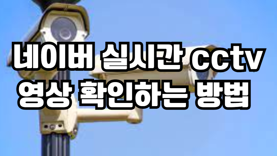 네이버 실시간 cctv
