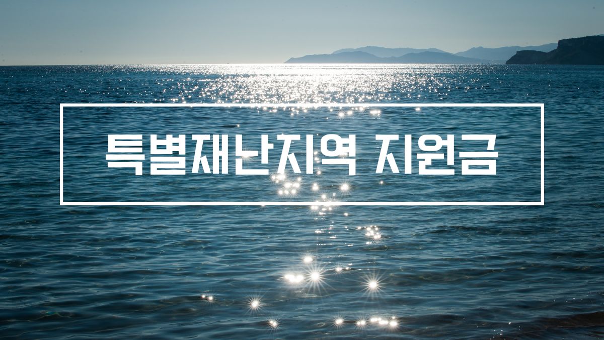 특별재난지역 지원금