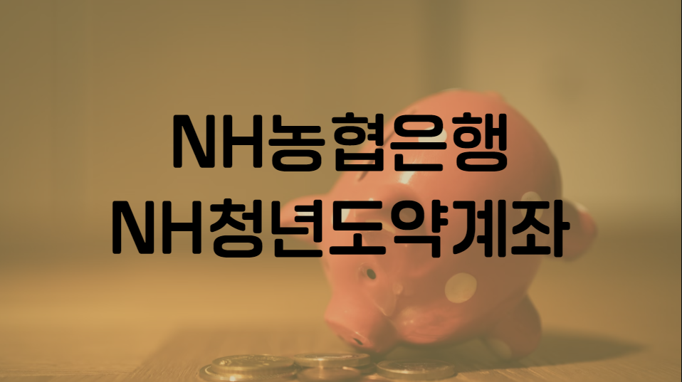 NH농협은행 NH청년도약계좌