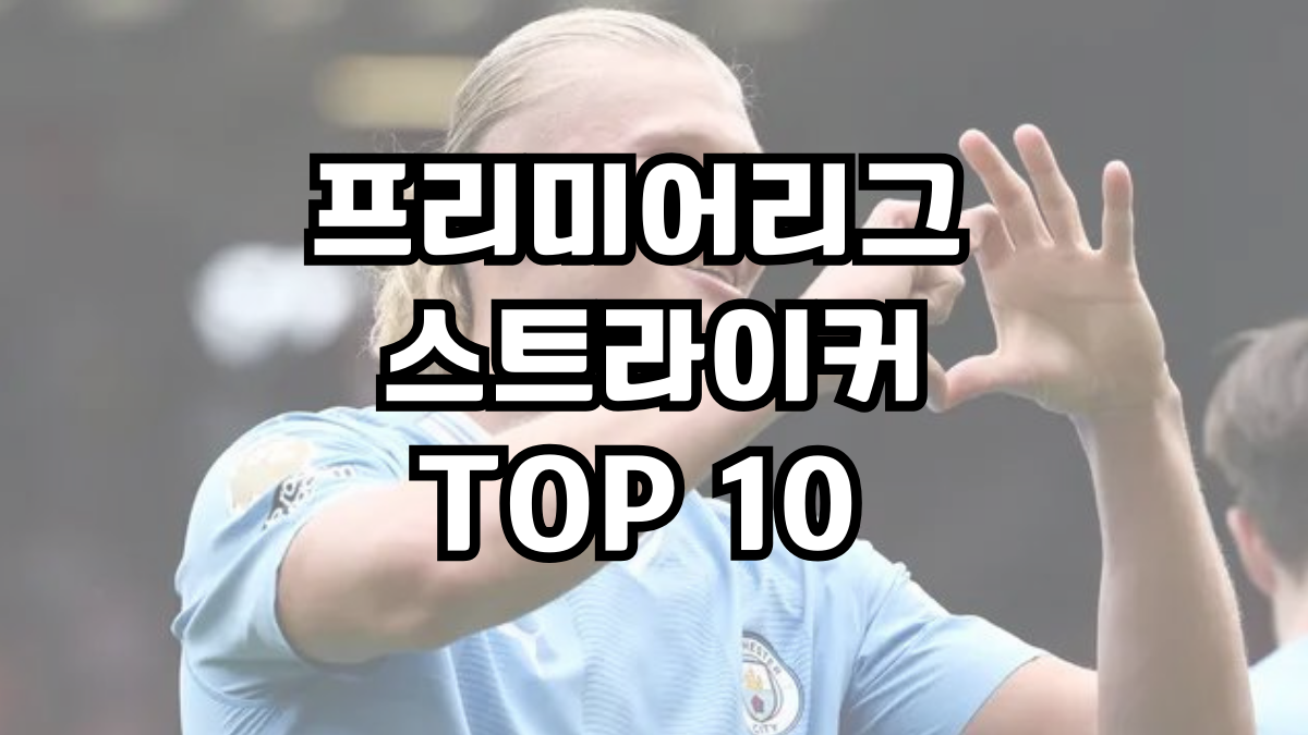프리미어리그 스트라이커