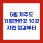 5월 제주도 가볼만한곳 10곳, 자연 절경부터 숨은 명소까지 완벽 추천!