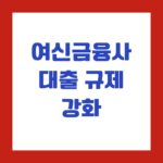 여신금융사 대출 규제 강화