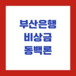 부산은행 비상금 동백론